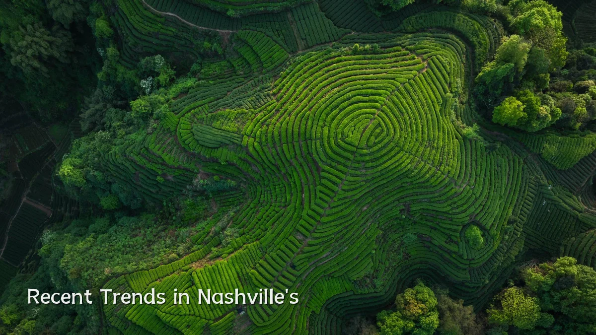 Recent Trends in Nashville's