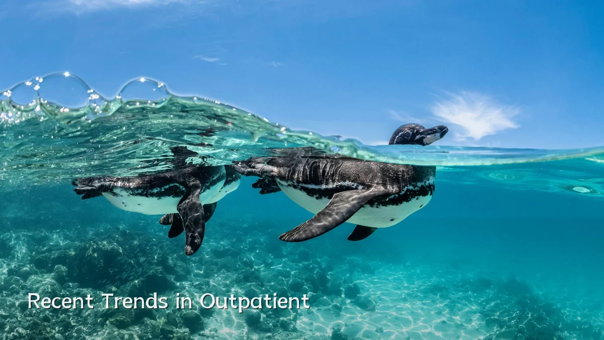 Recent Trends in Outpatient