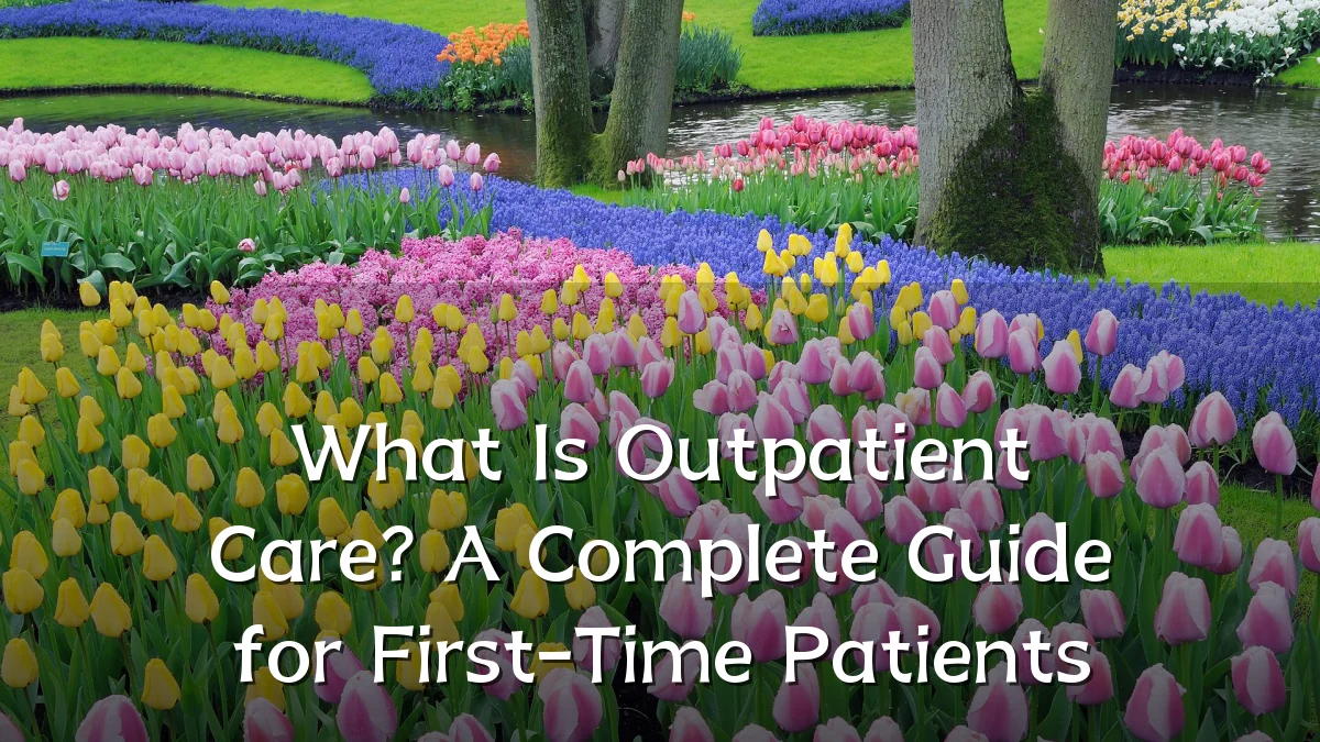 What Is Outpatient Care? A Complete Guide for First-Time Patients