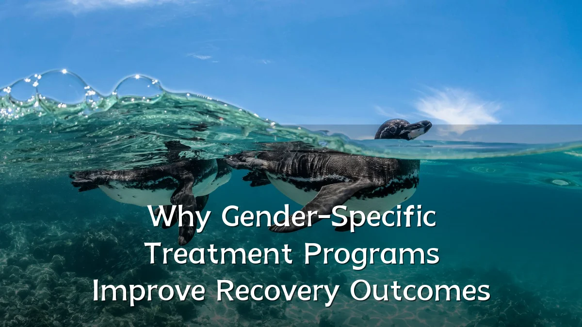 Why Gender-Specific Treatment Programs Improve Recovery Outcomes