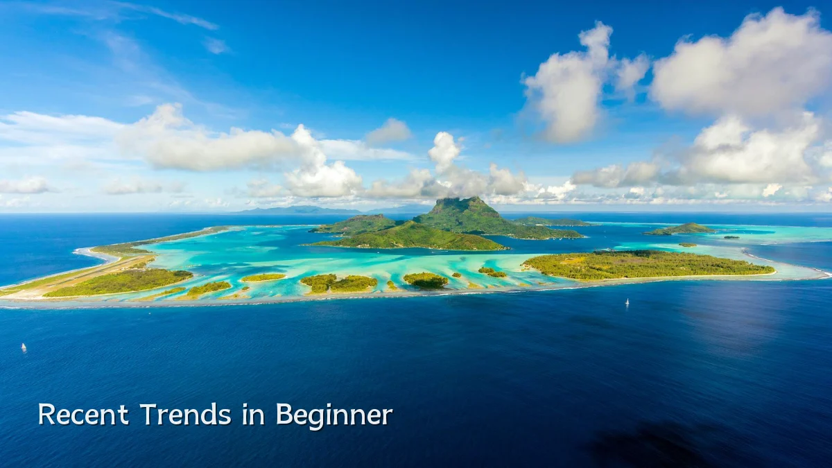 Recent Trends in Beginner