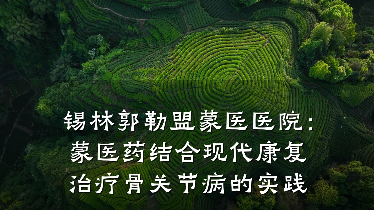 锡林郭勒盟蒙医医院：蒙医药结合现代康复治疗骨关节病的实践