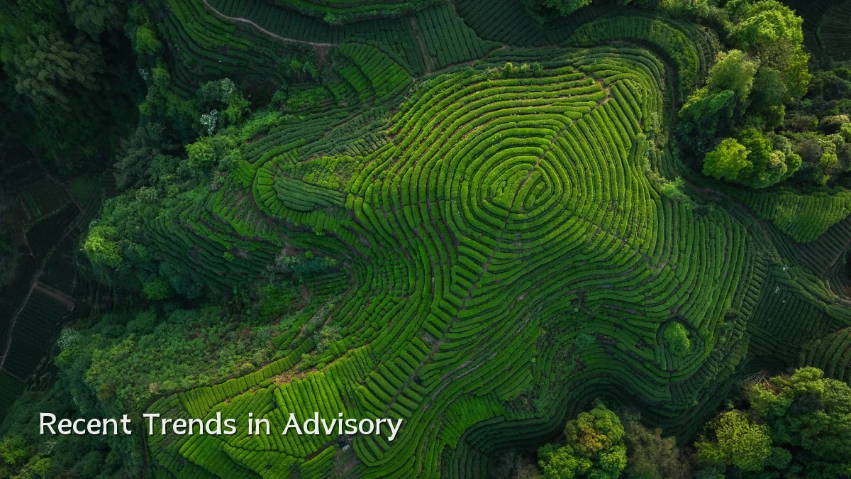 Recent Trends in Advisory